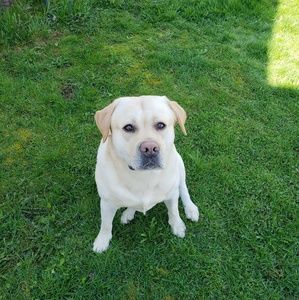 Meet your Posher, Clare